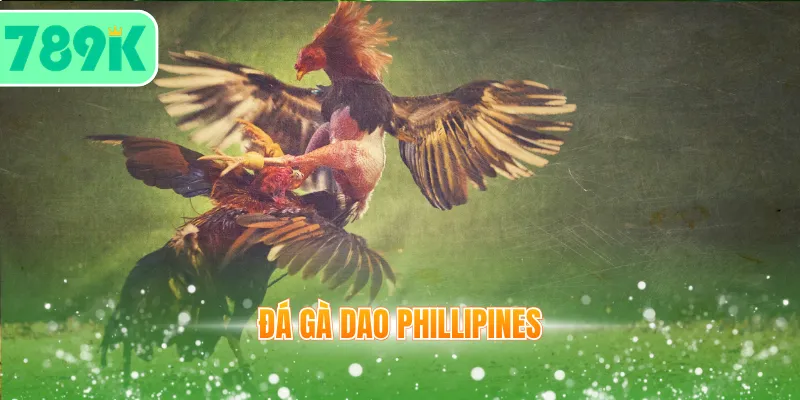đá gà dao Phillipines